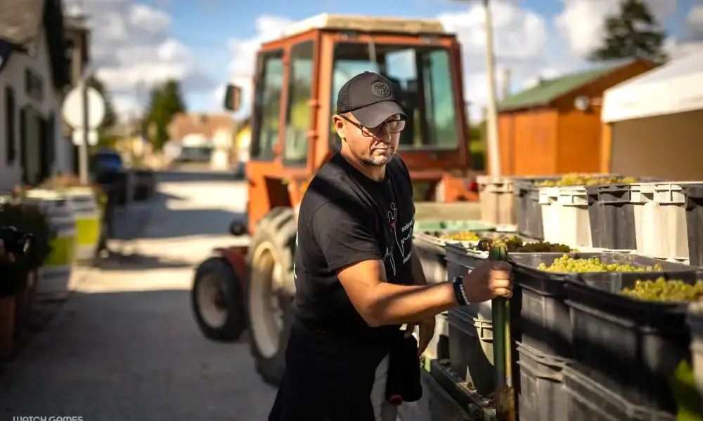 Tanulni, benne lenni, megérteni
