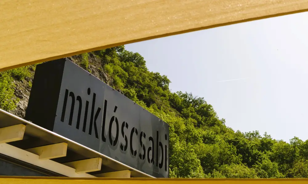 Megérkeztél Megérkeztél