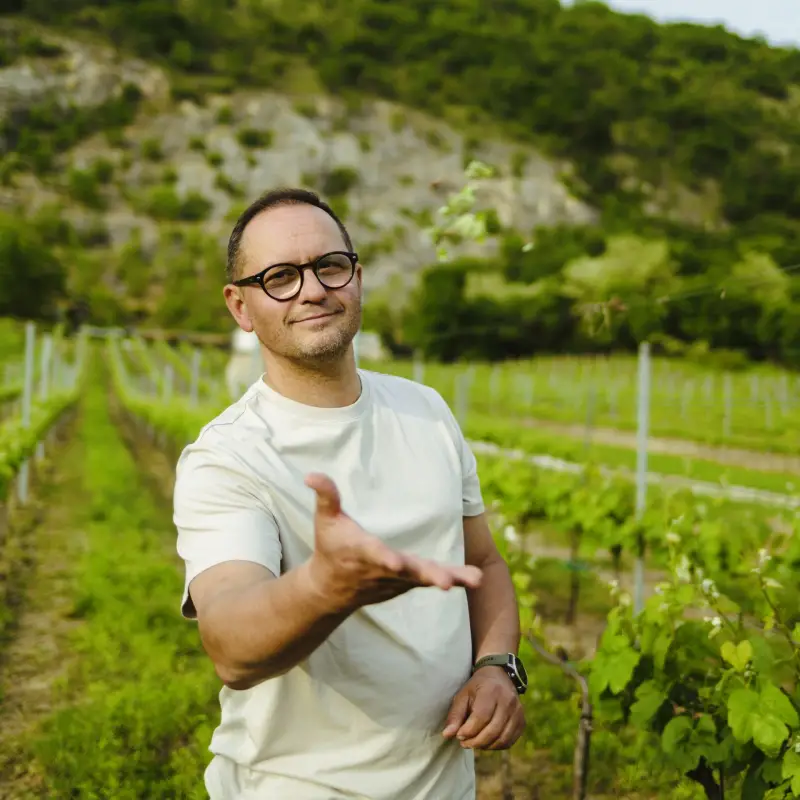 Miért pont a dűlőtúra, és miért pont Miklós Csabinál? Miért pont a dűlőtúra, és miért pont Miklós Csabinál?