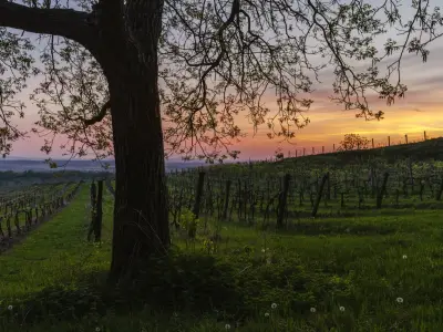 és a csend mesél és a csend mesél