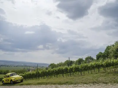 Ide meg elég nagyba lehet íni Ide meg elég nagyba lehet íni