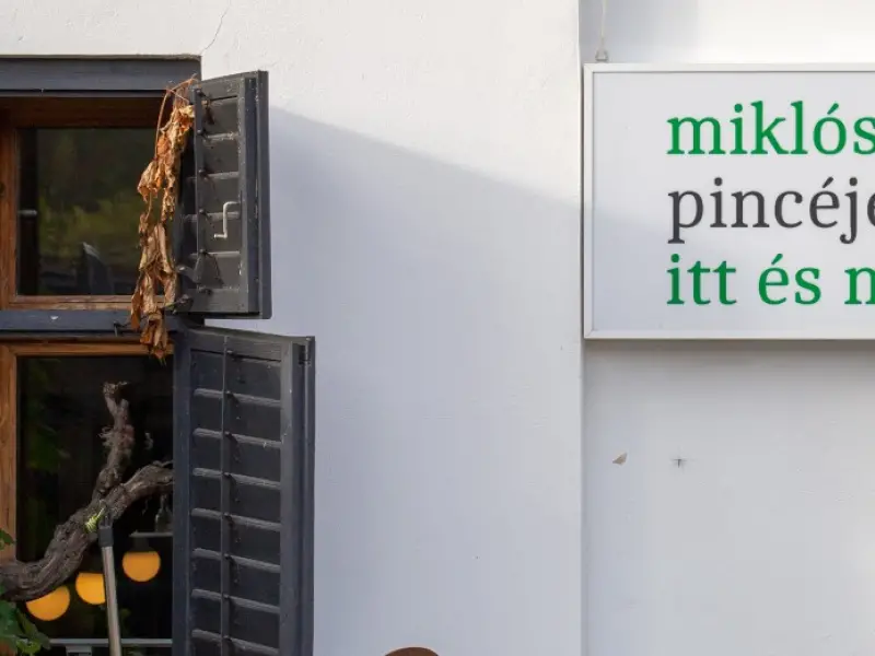 miklóscsabi pincéje miklóscsabi pincéje