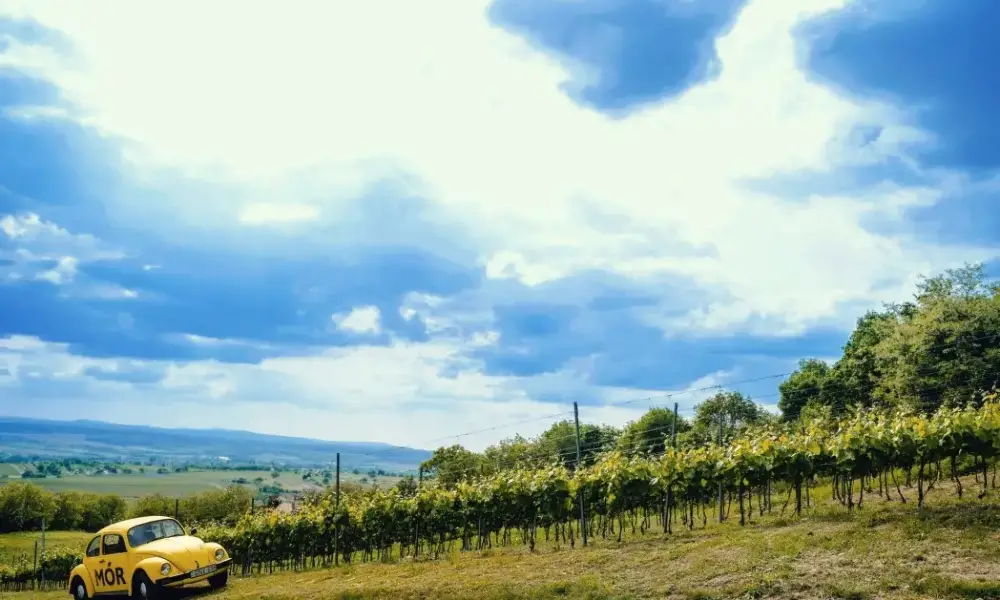 Legyen ezerjó közös élményünk!